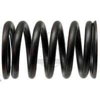 Ventilfeder passend für Fordson / Ford 2000 2600 3600 4000 5000 5600 7000 7600