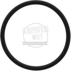 O-Ring Hubkolben passend für Fendt FW 139 FW 228 X548958473000