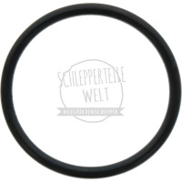 O-Ring Hubkolben passend für Fendt FL 120 FL 131 FW 120 X548953066000