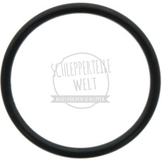 O-Ring Hubkolben passend für Fendt FL 120 FL 131 FW 120 X548953066000