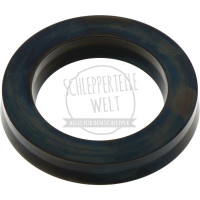 Nutring Hubkolben passend für Fendt FL 120 FL 131 FW 120 X548395875000