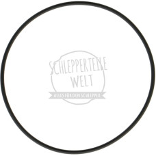 O-Ring Abschlussplatte hinten für Fendt F 15 F17 F20 F 24 FL 216 FL 237 FW 216