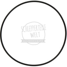 O-Ring Abschlussplatte hinten passend für Fendt F28 F40 X557177666000