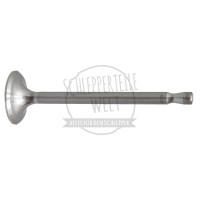 Einlass- und Auslassventil für Fendt F15 F15G F20G F20GH F25P F28P KDW 415