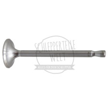 Einlass- und Auslassventil für Fendt F15 F15G F20G F20GH F25P F28P KDW 415