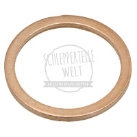 Dichtring passend für Fendt F 17 W FW 120 FW 216 KD 211 Z X540004678000