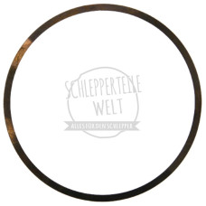 Ausgleichring für Fendt F 230 GT F 231 GT F 250 GT Farmer 102 FL 120 FL 131