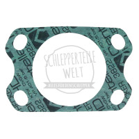 Dichtung Einspritzpumpe für Fendt D 208 F 231 GT Farmer 102 FL 131 FW 138 FW 150