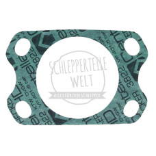 Dichtung Einspritzpumpe für Fendt D 208 F 231 GT Farmer 102 FL 131 FW 138 FW 150