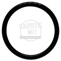 Dichtring Saugseite für Fendt AKD 12 Z AKD 311 Z D 325 F 230 GT FW 120 FW 228