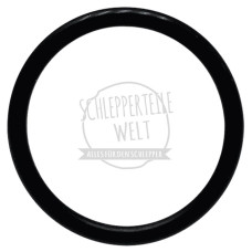 Dichtring Saugseite für Fendt AKD 12 Z AKD 311 Z D 325 F 230 GT FW 120 FW 228