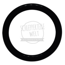 Dichtring Druckseite für Fendt AKD 12 Z AKD 311 Z D 325 F 230 GT FW 120 FW 228