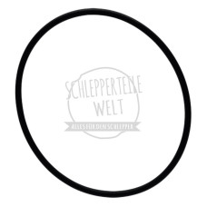 Dichtring Laufbuchse passend für Fendt FW 116 FW 140 FW 150