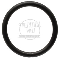 Dichtring für Fendt F 15 G F 15 GH F 20 G F 20 GH F 28 P F 40 KDW 415 KDW 615