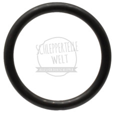 Dichtring für Fendt F 15 G F 15 GH F 20 G F 20 GH F 28 P F 40 KDW 415 KDW 615