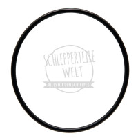 Dichtring passend für Fendt 108 Farmer 106 X548977566000