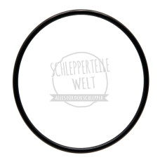 Dichtring passend für Fendt 108 Farmer 106 X548977566000