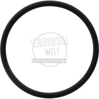 Dichtring zum Winkeltrieb für Fendt 103 105 108 F 231 GT FW 138 FW 181 FW 183