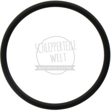 Dichtring zum Winkeltrieb für Fendt 103 105 108 F 231 GT FW 138 FW 181 FW 183