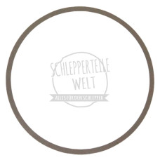 Ausgleichscheibe 0,2 mm , 90 x 100 mm für Fahr D 88 D 88 E Güldner A2KS MAN 7502