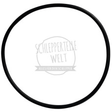 Dichtring Einspritzpumpe für Mercedes-Benz Trac 700 800 900 1100 1300 1400 1500