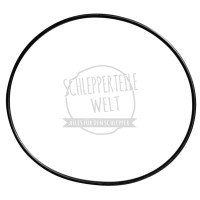 Dichtring Pumpenträger für Mercedes-Benz Trac 800 900 1100 1300 1400 1600 1800