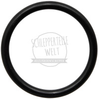 Dichtring Saugseite für Mercedes-Benz 700 1000 1300 1600 U 403 U 416 U 425 U 437