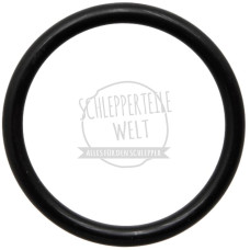 Dichtring Saugseite für Mercedes-Benz 700 1000 1300 1600 U 403 U 416 U 425 U 437