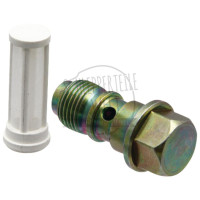 Hohlschraube mit Filter passend für Massey Ferguson TEA TEF 1850167M91