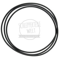 Dichtring Differentialgehäuse für Massey Ferguson MF 155 MF 158 MF 165 MF 168