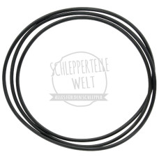 Dichtring Differentialgehäuse für Massey Ferguson MF 155 MF 158 MF 165 MF 168