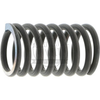 Ventilfeder passend für Hanomag 501 E 701 Brillant 601 Granit 501 Perfekt 401 E