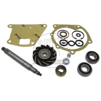 Wasserpumpen-Reparatursatz mit Lager für Hanomag Brillant Granit R 16 R 19 R 22