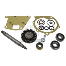 Wasserpumpen-Reparatursatz mit Lager für Hanomag Brillant Granit R 16 R 19 R 22
