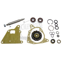 Wasserpumpen-Reparatursatz mit Lager für Hanomag Granit 500/1 Perfekt 300 rund