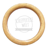 Dichtring passend für Hanomag Granit Perfekt 701 D 131 D 132 D 141 D 142 D 161