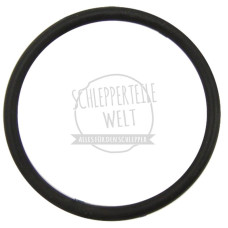 O-Ring passend für Hanomag 501 E 701 D 132 D 141 D 142 D 161 Granit 501