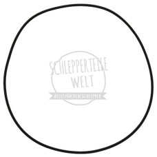 O-Ring Gehäusedeckel passend für Hanomag 701 Brillant 601 Robust 901