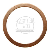 Dichtring oben und unten für Hanomag D 14 D 28 R 19 R 25 R 28 R 217 R 332 R 442