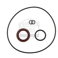 Dichtsatz für Hydraulikpumpe 3716370M91 für Massey Ferguson 5455 6130 6190 6280