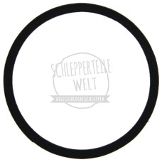 2x Dichtring Nabenkappe für Massey Ferguson FE 35 MF 135 MF 148 MF 168 MF 175 TEF