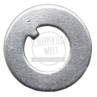 2x Scheibe Standard Achse für Massey Ferguson FE35 135 148 168 175 188 TEF TEA