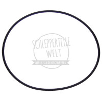 4x Zylinderdichtring passend für Hanomag Robust 800