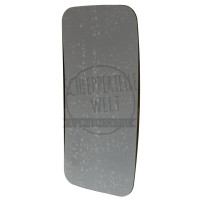 Ersatzglas Hauptspiegel gewölbt für Fendt Farmer Favorit Same Silver Titan