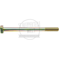 Hubspindel für John Deere 8100 8110T 8200 8210T 8300 8310T 8400 8410T R107759