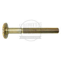 Spindel passend für Steyr 540 545 650 658 760 768 8070 8075 135700740032