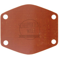 Rückwand für Wasserpumpe für Massey Ferguson A 3.152 AD 3.152 MF 35 MF 133