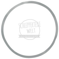 Ausgleichscheibe 0,2 mm für Fahr D130 D132 Güldner ALD A2L AL Kramer KL17 KL180