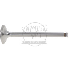 Auslassventil Ventilsitz 45 für Eicher 3155 3253 3255 3256 3354 3355 AD 3.152