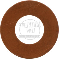 Dichtring Einspritzdüse 1,0 mm für Mercedes-Benz 700 1000 1400 1800 U403 U425 U437